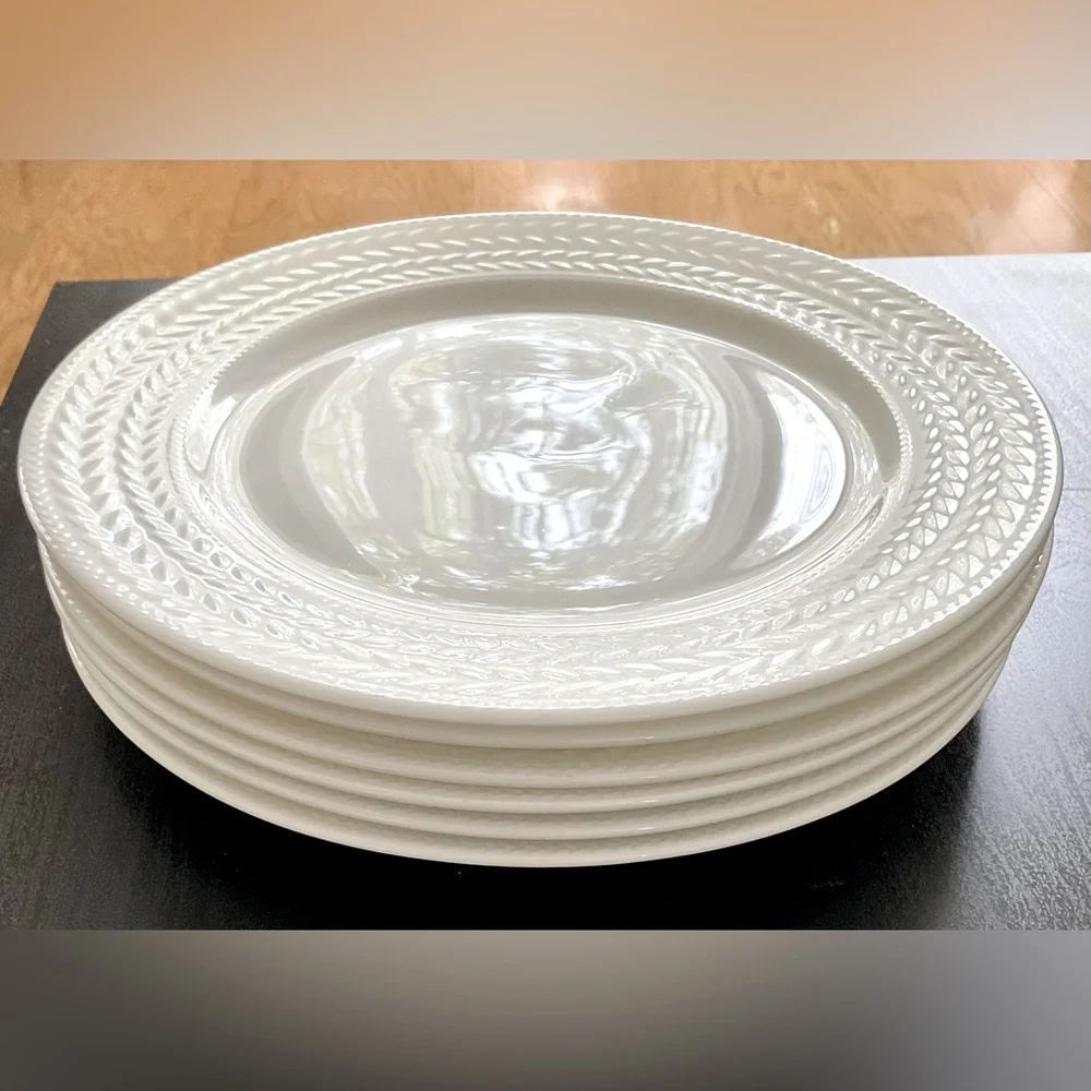 New Nelli Mikasa Dinner Plates 11